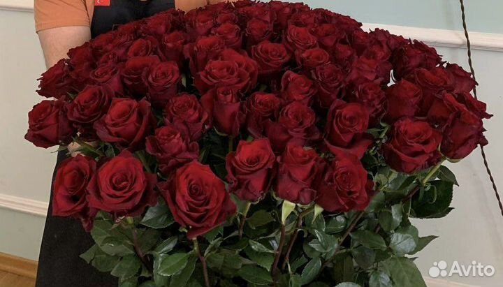 Гигантские розы / Высокие розы / Длинные розы