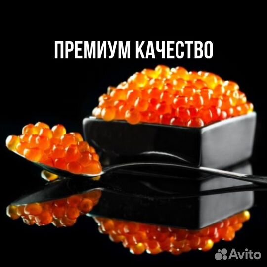 Икра красная (Камчатка) вылов 01.08.2023