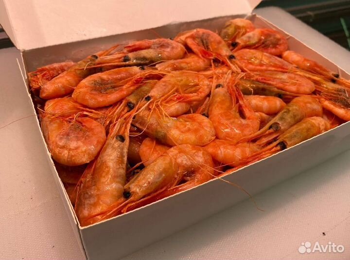 Креветка северная. Свежий улов. Опт