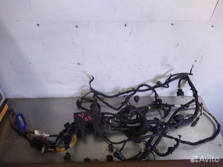 Проводка двс 4,2 бензин Range Rover Sport 1