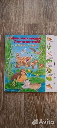 Первая книга малыша Учим новые слова