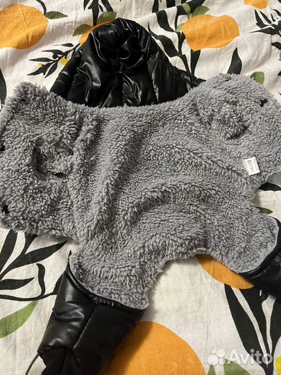 Одежда для животных