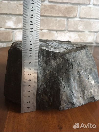 Окаменелое дерево