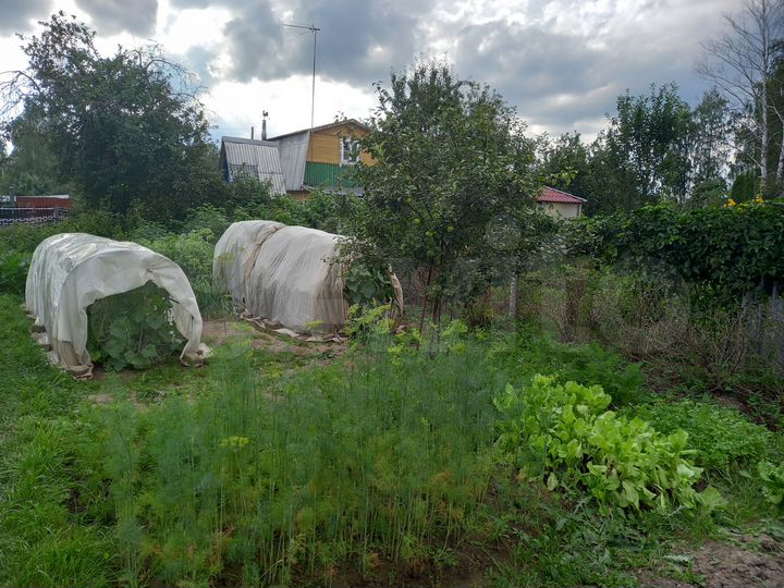 Участок 6,5 сот. (СНТ, ДНП)