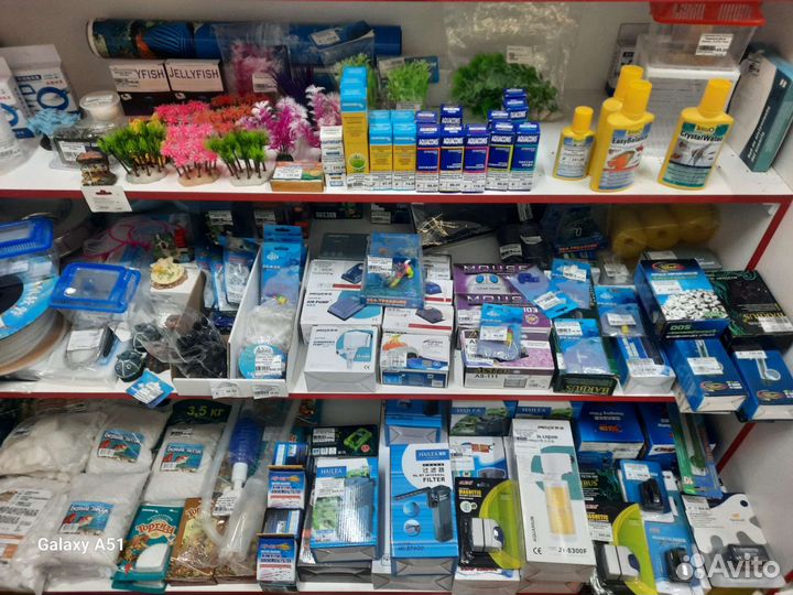 Аквариумистика