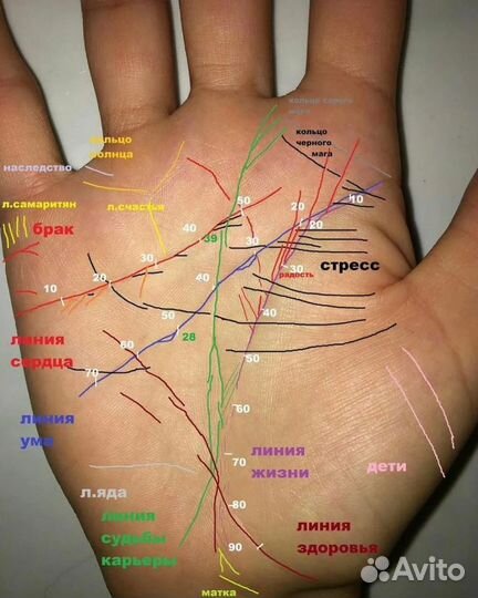 Хиромантия,астрология,таро,нумерология,обучение