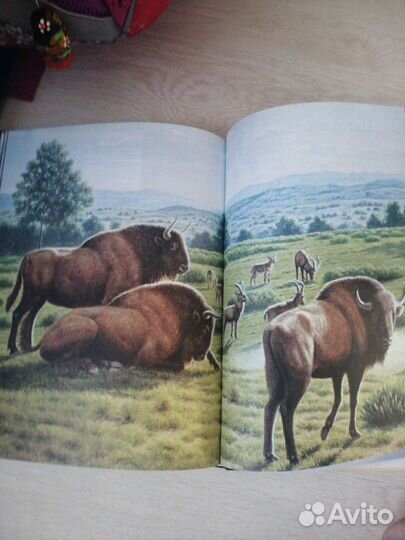 Детская энциклопедия