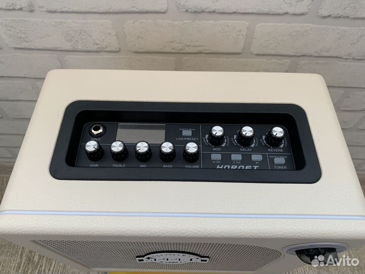 Комбоусилитель Mooer Hornet