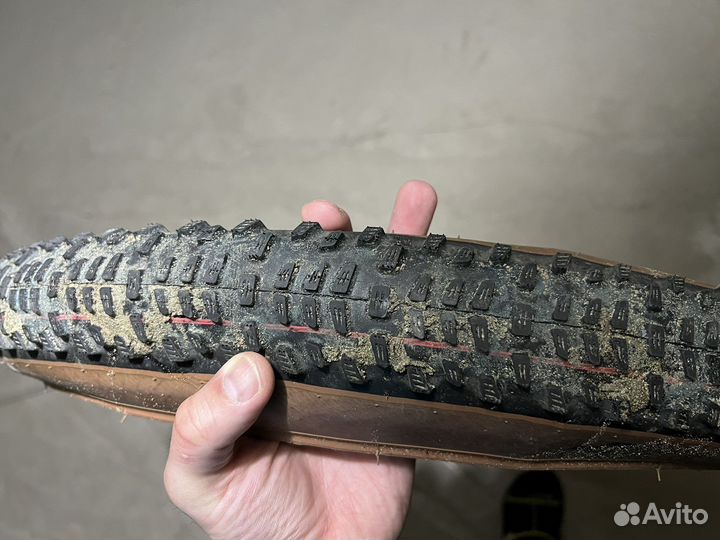 Покрышки schwalbe 29