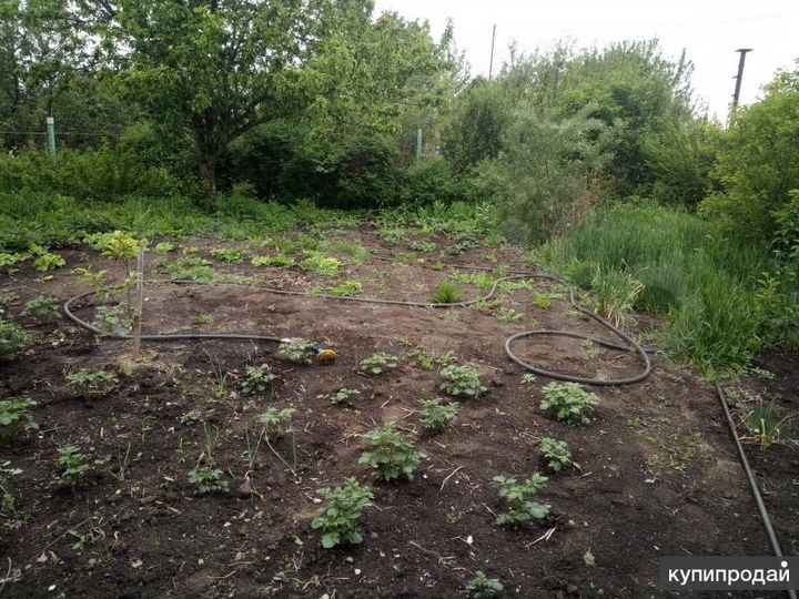 Участок 6,5 сот. (СНТ, ДНП)