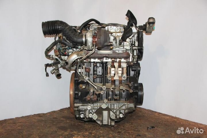 Двигатель Renault Koleos 8200729307/M9R