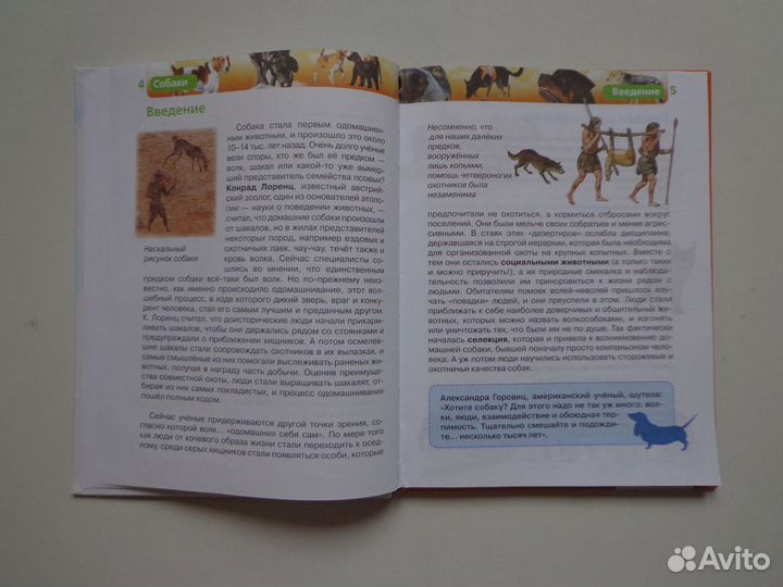 Детская энциклопедия 