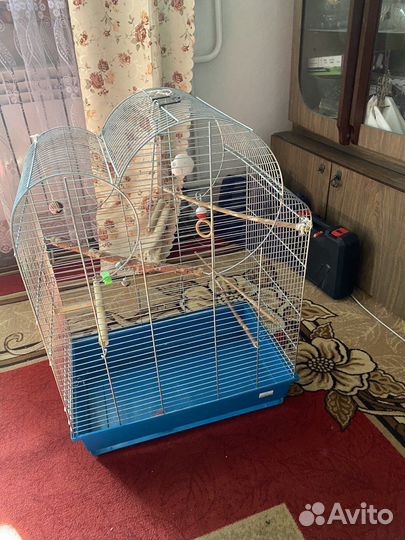 Клетки для попугаев