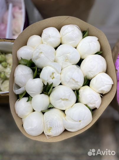 Пионы Итальянские Букет Пионов Пионы