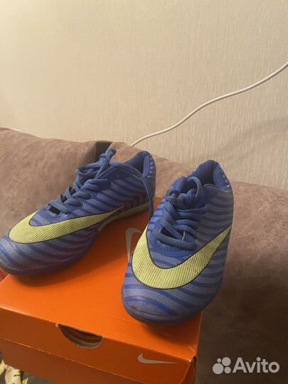 Сороконожки