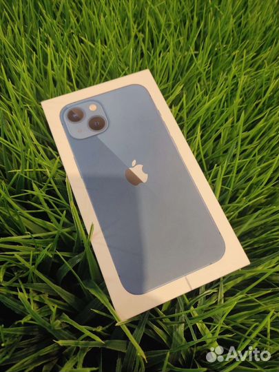 iPhone 13