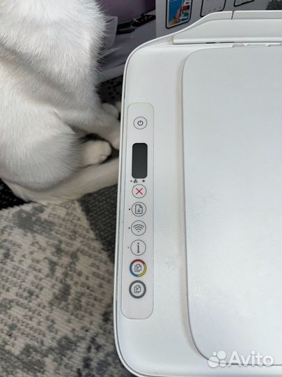 Принтер HP DeskJet 2700 series