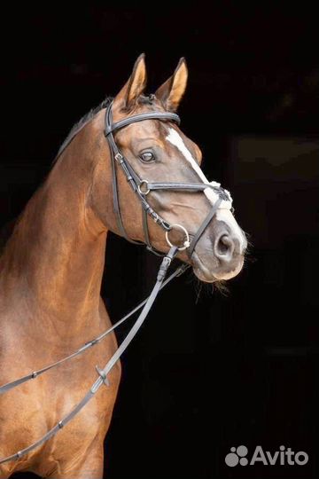 Оголовье для лошади (уздечка) с мексиканским капс