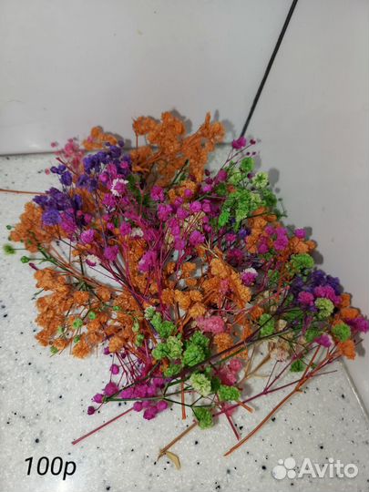 Сухоцветы для творчества(стабилизированные)