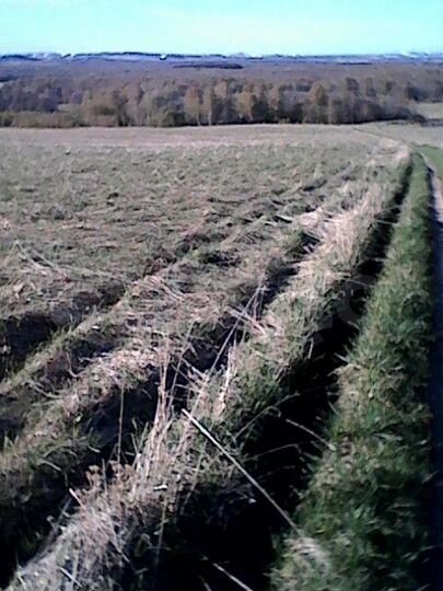 Участок 4,6 га (СНТ, ДНП)