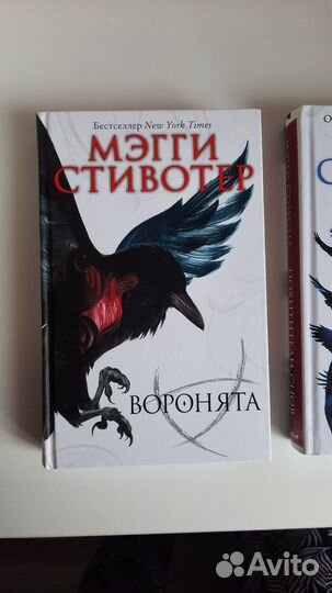 Книги Воронята, цикл Круг воронов