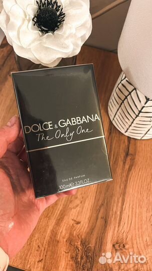 Dolce gabbana the only one