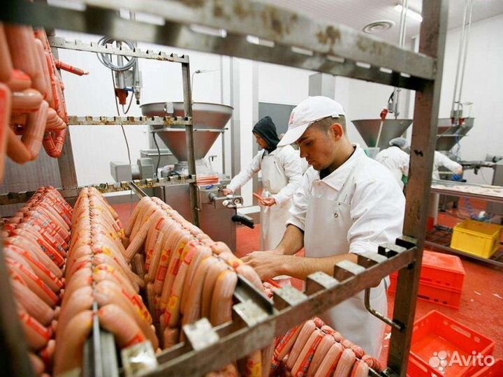 Подсобный рабочий на мясоперерабатывающий завод