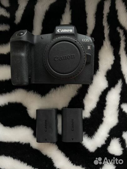 Canon eos r + его семья