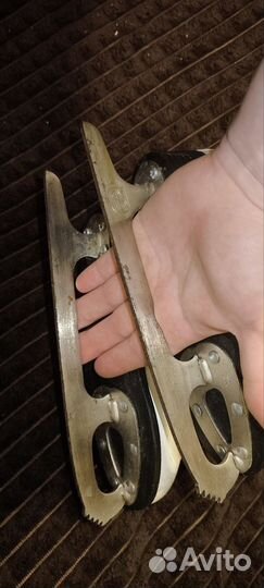 Коньки фигурные 31