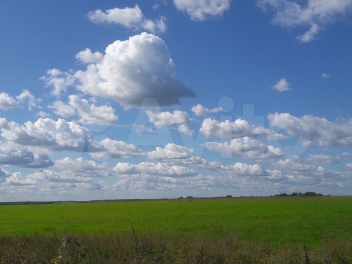 Участок 5 га (СНТ, ДНП)