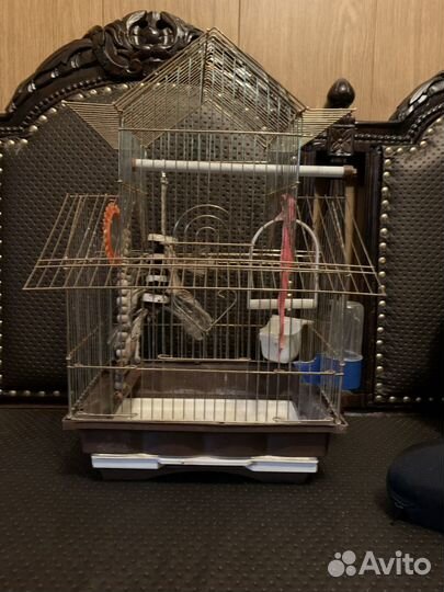 Клетка для птиц с аксесуарами