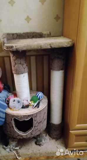 Большая клетка для грызунов и когтеточка для кошки