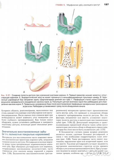 Книга Эндодонтия