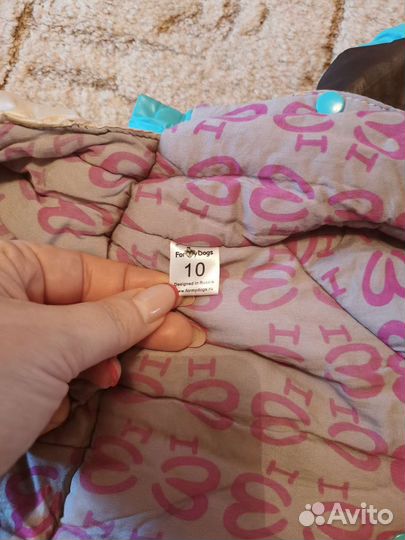 Одежда для собак мелких пород