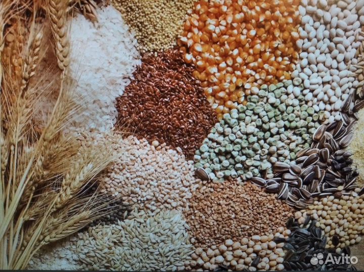 Корм для всех видов животных и птиц.Доставка