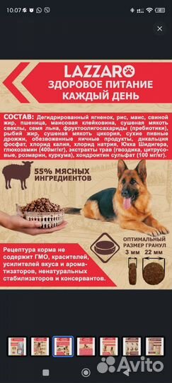 Корм для собак