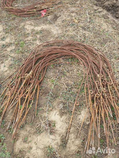 Маленькие дуги для капусты и клубники