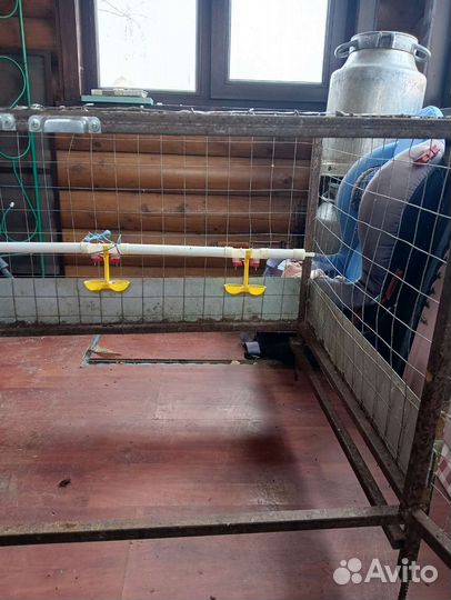 Оборудование для птицеводства