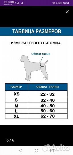 Памперс для собаки многоразовый