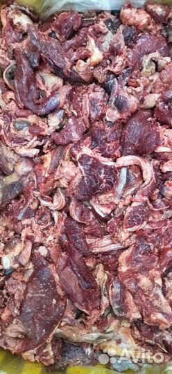 Мясо для собак