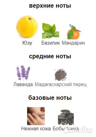 212 VIP Men Wins Carolina Herrera