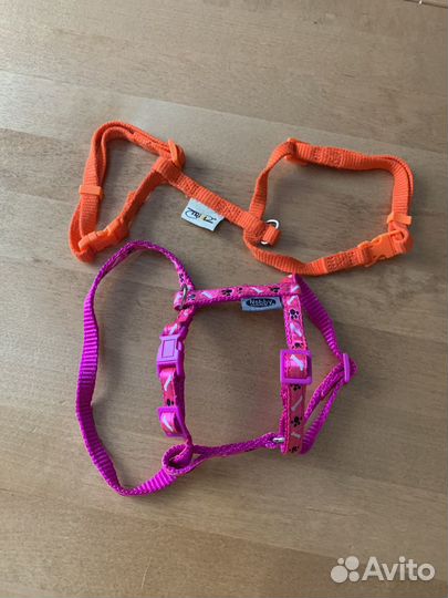 Шлейка для маленькой собаки