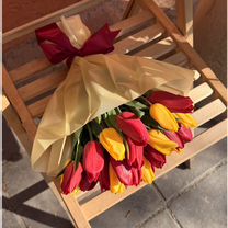 Тюльпаны, Махачкала