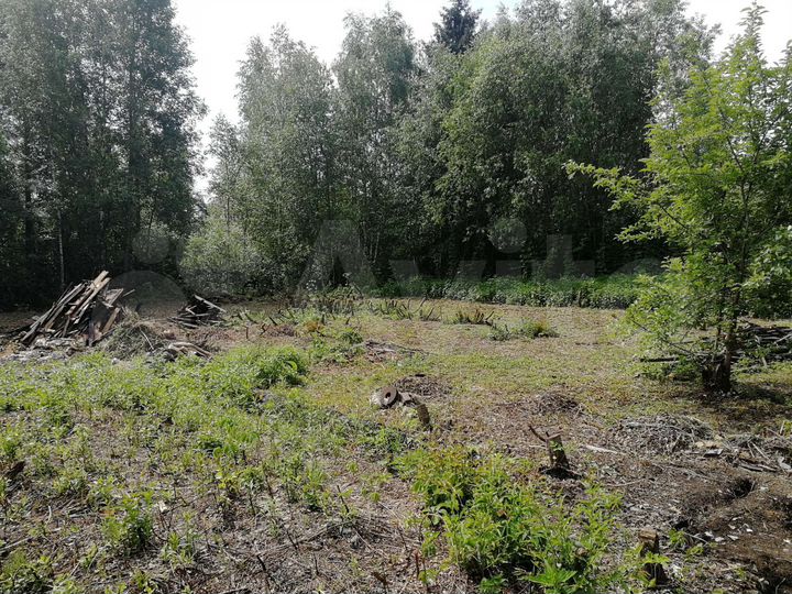 Участок 9 сот. (СНТ, ДНП)