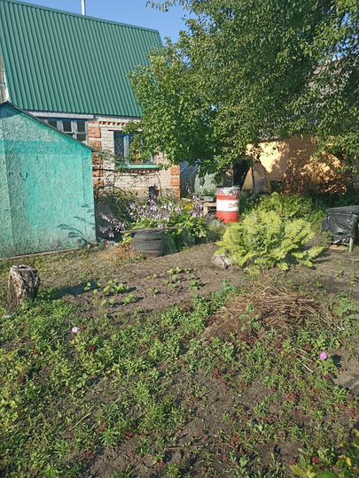 Дача 25 м² на участке 6 сот.