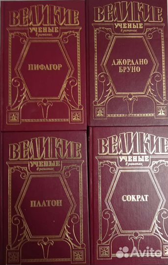 Великие учёные в романах