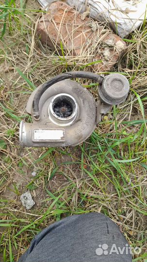 Турбина валдай бычок