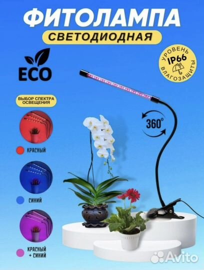 Фитолампа для растений