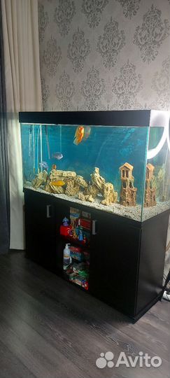 Аквариум с тумбой 300 литров