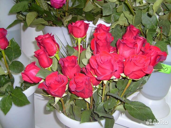 Цветы розы букет